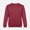 Свитшот унисекс TH Clothes Delta, бордовый Свитшот унисекс TH Clothes Delta, бордовый фото