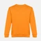 Свитшот унисекс TH Clothes Delta, оранжевый Свитшот унисекс TH Clothes Delta, оранжевый фото