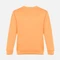 Свитшот унисекс TH Clothes Delta, светло-оранжевый Свитшот унисекс TH Clothes Delta, светло-оранжевый фото