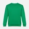 Свитшот унисекс TH Clothes Delta, зеленый Свитшот унисекс TH Clothes Delta, зеленый фото