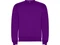 Оптом Свитшот детский с начесом Roly Clasica, фиолетовый для нанесения логотипа или надписи Свитшот детский с начесом Roly Clasica, фиолетовый фото