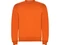 Оптом Свитшот детский с начесом Roly Clasica, оранжевый для нанесения логотипа или надписи Свитшот детский с начесом Roly Clasica, оранжевый фото