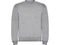 Оптом Свитшот детский с начесом Roly Clasica, серый для нанесения логотипа или надписи Свитшот детский с начесом Roly Clasica, серый фото