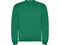 Оптом Свитшот детский с начесом Roly Clasica, зеленый для нанесения логотипа или надписи Свитшот детский с начесом Roly Clasica, зеленый фото