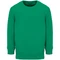 Оптом Свитшот детский Sol's Columbia Kids, ярко-зеленый для нанесения логотипа или надписи Свитшот детский Sol's Columbia Kids, ярко-зеленый фото