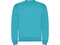 Свитшот с начесом Roly Clasica, бирюзовый фото
