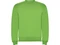 Свитшот с начесом Roly Clasica, светло-зеленый фото