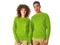 Оптом Свитшот унисекс Us Basic Motion с начесом, зеленый для нанесения логотипа или надписи Свитшот унисекс Us Basic Motion с начесом, зеленый фото
