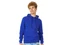 Толстовка с капюшоном мужская Us Basic Amsterdam, синяя фото