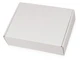Коробка подарочная Zand, M, белый - фото № 1