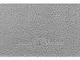 Ежедневник недатированный Bruno Visconti Megapolis Flex А5 soft-touch, серебряный - фото № 11