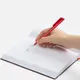 Ручка шариковая пластиковая Ritter-Pen Flip, красная - фото № 4