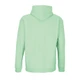 Худи Sol's Condor, светло-зеленое - фото № 3