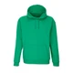 Худи Sol's Condor, зеленое - фото № 1