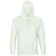 Худи унисекс Sol's Condor, светло-зеленое - фото № 1