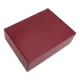 Набор Cofer Hot Box E Edge CO12s Red: термос с датчиком температуры, кофер, soft touch, голубой - фото № 2