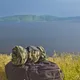 Плед Камуфляж, зеленый - фото № 4
