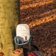 Рюкзак-холодильник XD Collection Explorer, 14 л, черный / синий - фото № 9