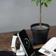 Станция зарядная беспроводная с прозрачным корпусом и подсветкой Tron, 15W, черная - фото № 2