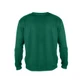 Свитшот унисекс Antares, темно-зеленый - фото № 3