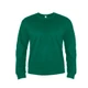 Свитшот унисекс Antares, темно-зеленый - фото № 1