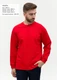 Свитшот унисекс Stan 60, футер с начесом, 220 гр/м2, красный - фото № 4