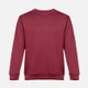 Свитшот унисекс TH Clothes Delta, бордовый - фото № 1