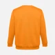 Свитшот унисекс TH Clothes Delta, оранжевый - фото № 2