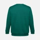 Свитшот унисекс TH Clothes Delta, темно-зеленый - фото № 2