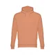 Толстовка мужская с капюшоном TH Clothes Phoenix, коричневая - фото № 4