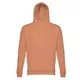 Толстовка мужская с капюшоном TH Clothes Phoenix, коричневая - фото № 5
