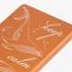 Внешний аккумулятор магнитный Atlantis PD, 5000 mAh, оранжевый - фото № 10