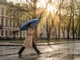 Зонт складной автоматический Regenfall, темно-синий - фото № 11