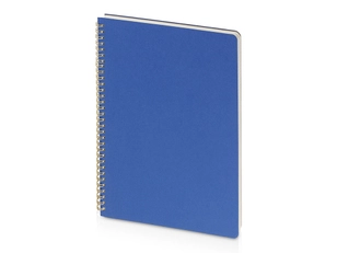Бизнес-тетрадь на спирали Bruno Visconti Pragmatic А4, синяя